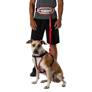 Tasca cintura da corsa Nathan  K9 Series Runner's Waistpack With Leash