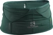 Tasca cintura da corsa Salomon  ADV Skin Belt Pacific