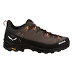 Uitgeprobeerd -  Scarpe outdoor da uomo Salewa  Alp Trainer 2 Bungee Cord/Black  UK 12