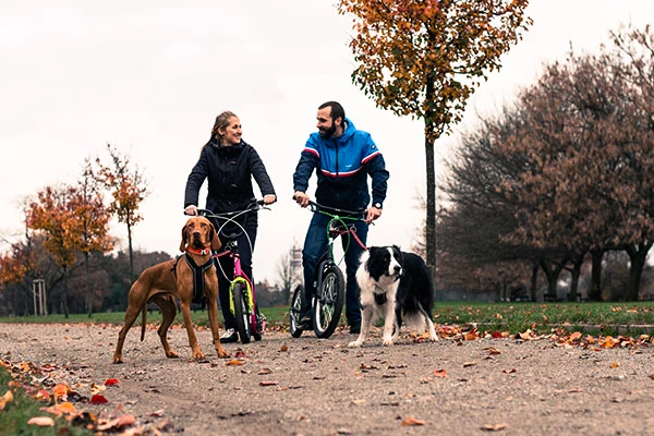 Monopattini Yedoo per chi ha il cane e il mushing