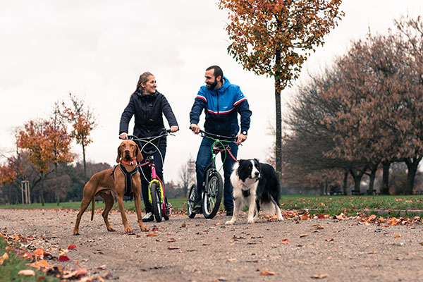 Monopattini Yedoo per chi ha il cane e il mushing