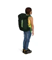 Zaino per bambini OSPREY JET 18 blue spikemoss/lemongrass